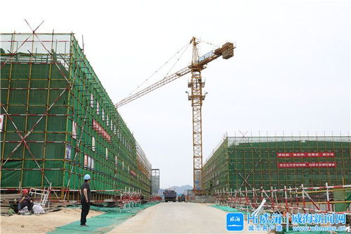 威海市人民政府 今日威海 跟著觀摩團(tuán)看項(xiàng)目 環(huán)翠區(qū)