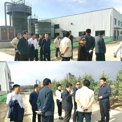 內蒙古自治區(qū)黨委常委、呼和浩特市委書記云光中一行蒞臨萬德斯環(huán)保項目現場視察指導